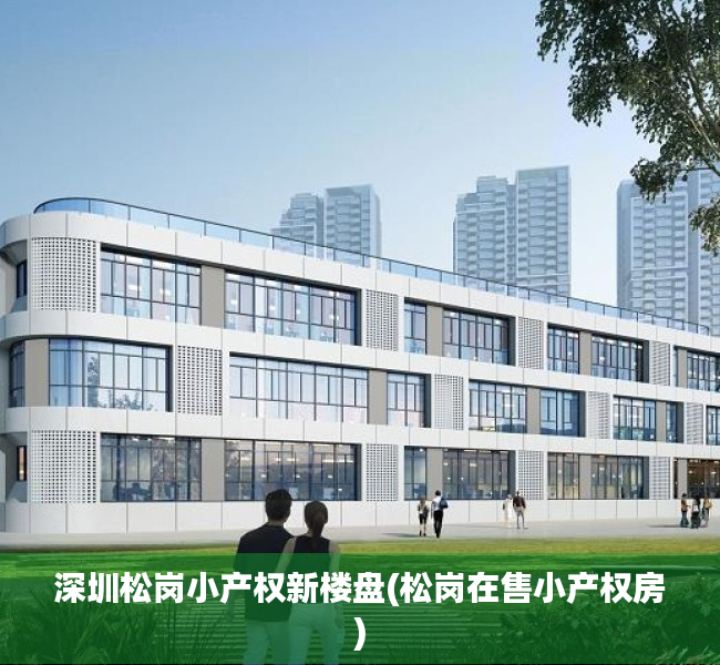 深圳松岗小产权新楼盘(松岗在售小产权房) 深圳松岗小产权新楼盘(松岗在售小产权房)