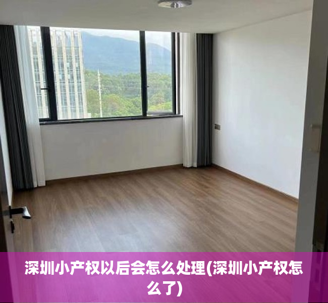 深圳小产权以后会怎么处理(深圳小产权怎么了) 深圳小产权以后会怎么处理(深圳小产权怎么了)