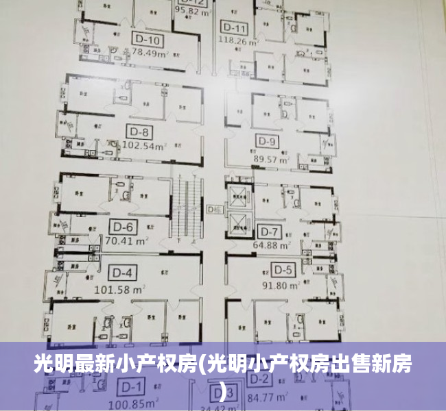 光明最新小产权房(光明小产权房出售新房) 光明最新小产权房(光明小产权房出售新房)