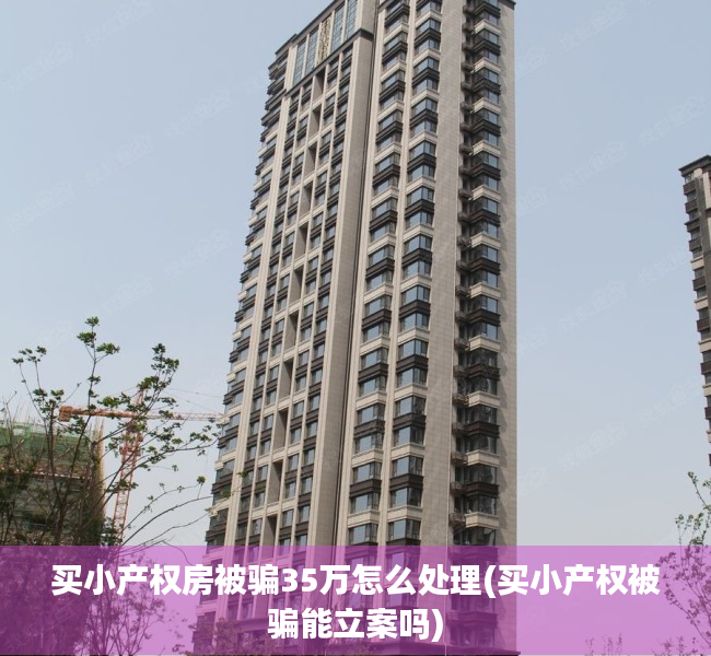 买小产权房被骗35万怎么处理(买小产权被骗能立案吗)