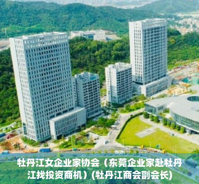 牡丹江女企业家协会（东莞企业家赴牡丹江找投资商机）(牡丹江商会副会长)