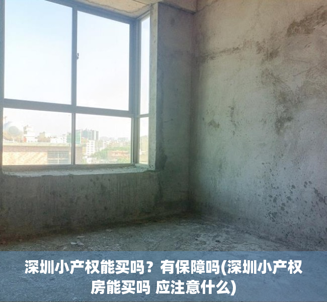 深圳小产权能买吗?有保障吗(深圳小产权房能买吗 应注意什么) 深圳小产权能买吗?有保障吗(深圳小产权房能买吗 应注意什么)