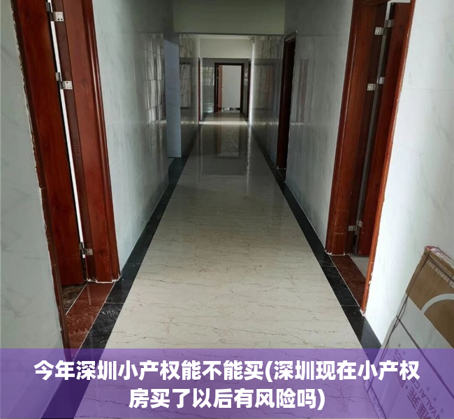 今年深圳小产权能不能买(深圳现在小产权房买了以后有风险吗) 今年深圳小产权能不能买(深圳现在小产权房买了以后有风险吗)