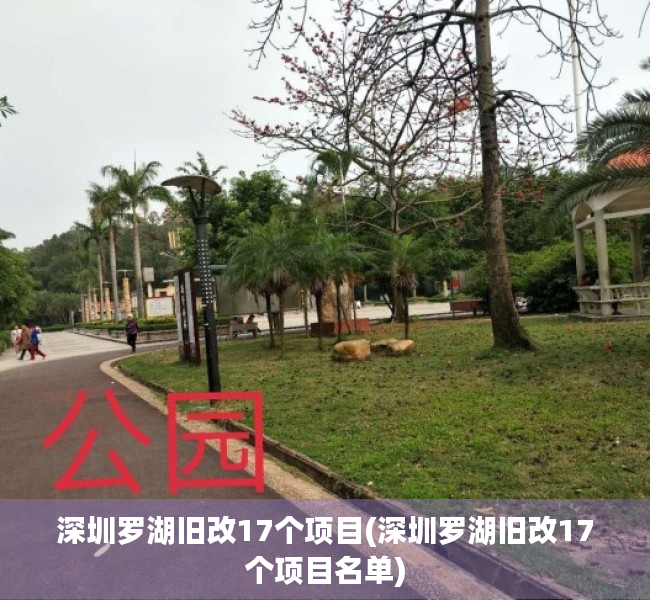 深圳罗湖旧改17个项目(深圳罗湖旧改17个项目名单)