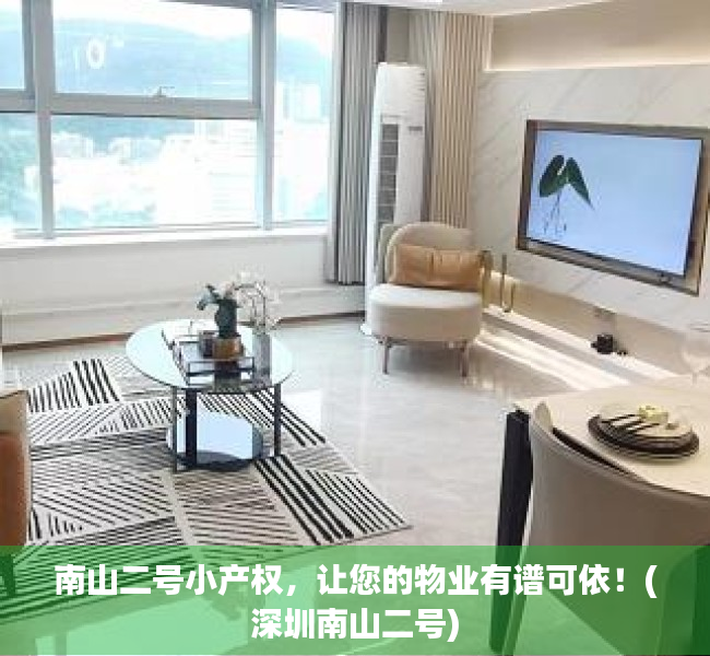 南山二号小产权，让您的物业有谱可依！(深圳南山二号)