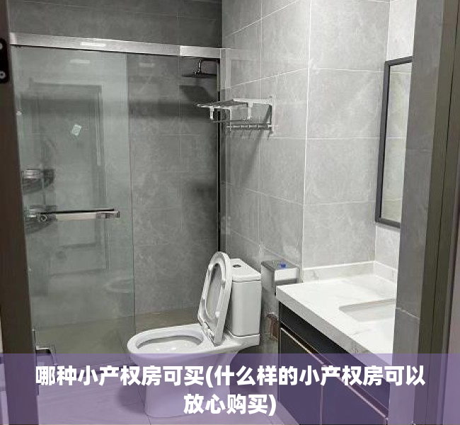 哪种小产权房可买(什么样的小产权房可以放心购买)