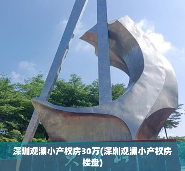 深圳观澜小产权房30万(深圳观澜小产权房楼盘)