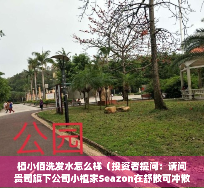 植小佰洗发水怎么样（投资者提问：请问贵司旗下公司小植家Seazon在舒散可冲散卫生巾的销售情）