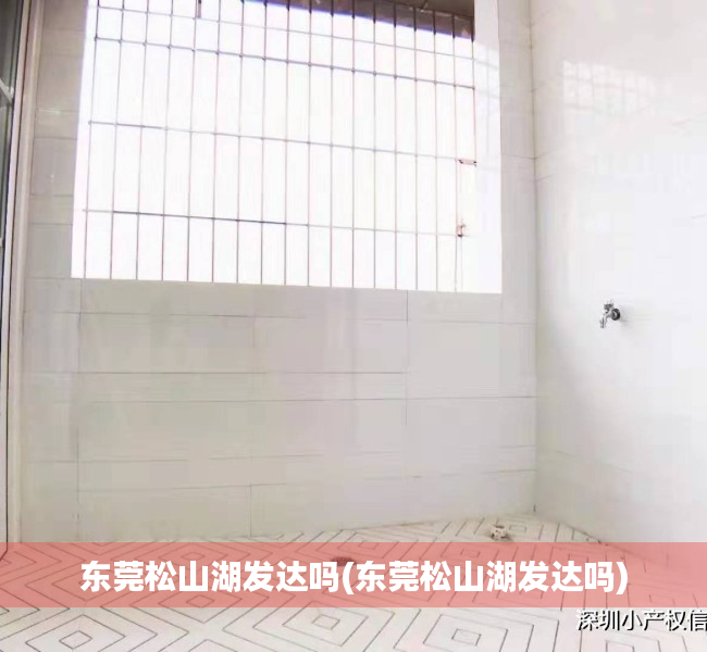 东莞松山湖发达吗(东莞松山湖发达吗)