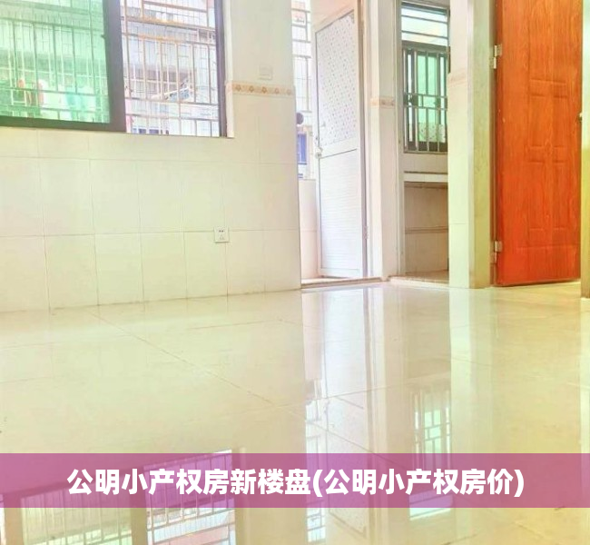 公明小产权房新楼盘(公明小产权房价) 公明小产权房新楼盘(公明小产权房价)