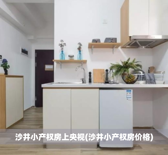 沙井小产权房上央视(沙井小产权房价格) 沙井小产权房上央视(沙井小产权房价格)