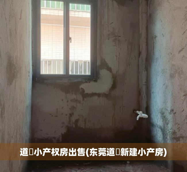 道滘小产权房出售(东莞道滘新建小产房) 道滘小产权房出售(东莞道滘新建小产房)