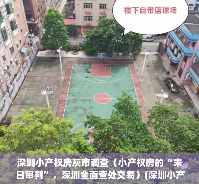 深圳小产权房灰市调查（小产权房的“末日审判”，深圳全面查处交易）(深圳小产权房未来如何处置)