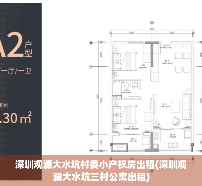 深圳观澜大水坑村委小产权房出租(深圳观澜大水坑三村公寓出租)