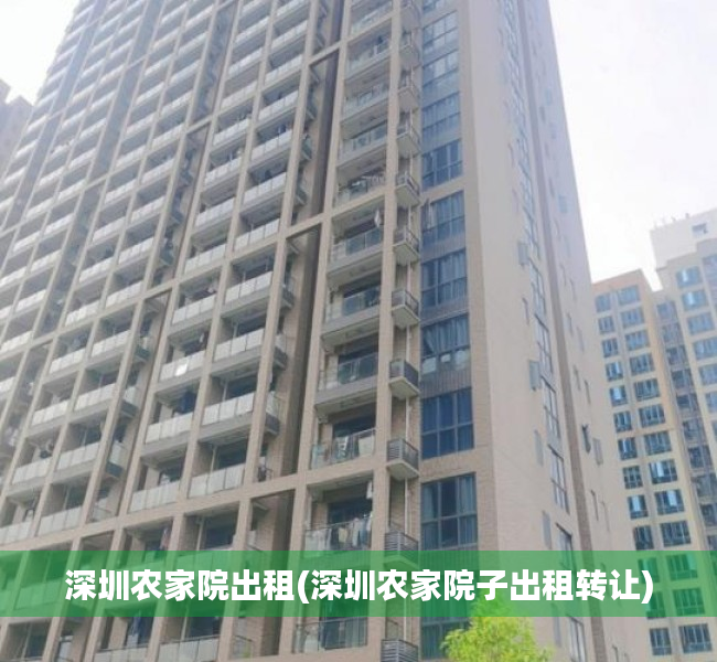 深圳农家院出租(深圳农家院子出租转让)