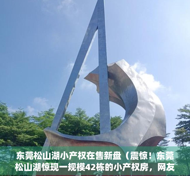 东莞松山湖小产权在售新盘（震惊！东莞松山湖惊现一规模42栋的小产权房，网友：大概要走半个小时才能出来）