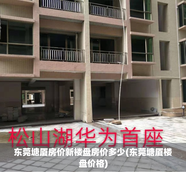 东莞塘厦房价新楼盘房价多少(东莞塘厦楼盘价格) 东莞塘厦房价新楼盘房价多少(东莞塘厦楼盘价格)