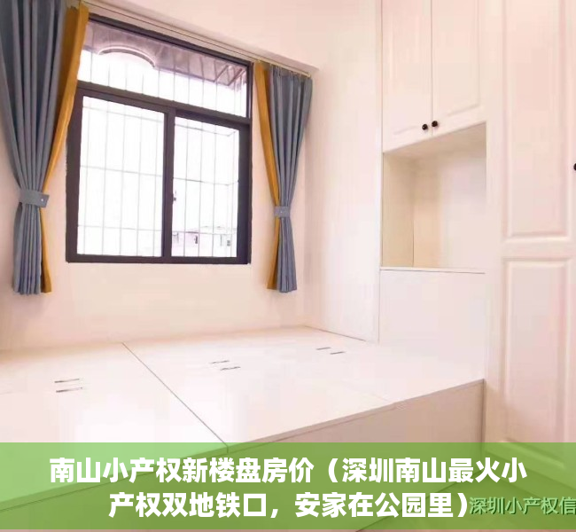 南山小产权新楼盘房价（深圳南山最火小产权双地铁口，安家在公园里）