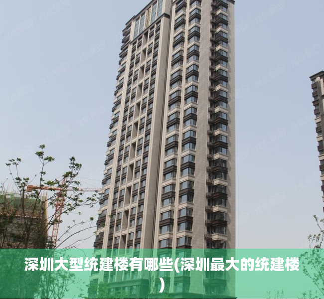 深圳大型统建楼有哪些(深圳最大的统建楼) 深圳大型统建楼有哪些(深圳最大的统建楼)