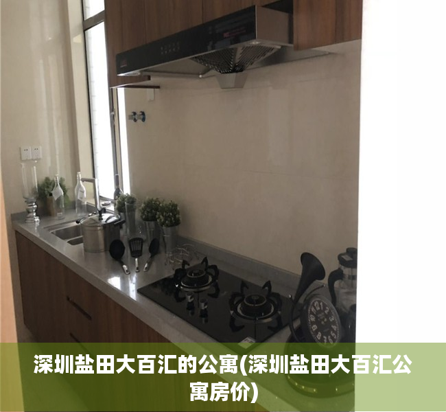深圳盐田大百汇的公寓(深圳盐田大百汇公寓房价) 深圳盐田大百汇的公寓(深圳盐田大百汇公寓房价)