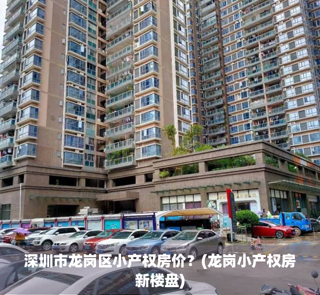 深圳市龙岗区小产权房价？(龙岗小产权房新楼盘)