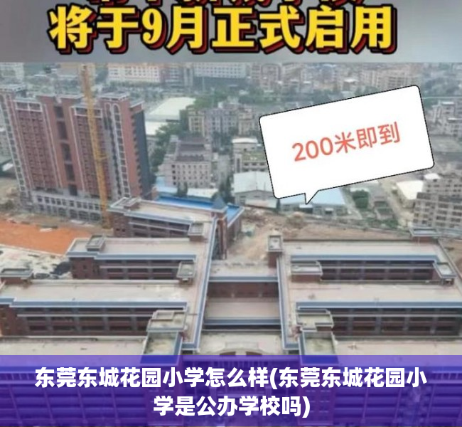 东莞东城花园小学怎么样(东莞东城花园小学是公办学校吗) 东莞东城花园小学怎么样(东莞东城花园小学是公办学校吗)