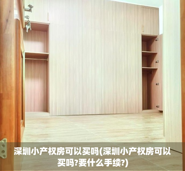 深圳小产权房可以买吗(深圳小产权房可以买吗?要什么手续?) 深圳小产权房可以买吗(深圳小产权房可以买吗?要什么手续?)