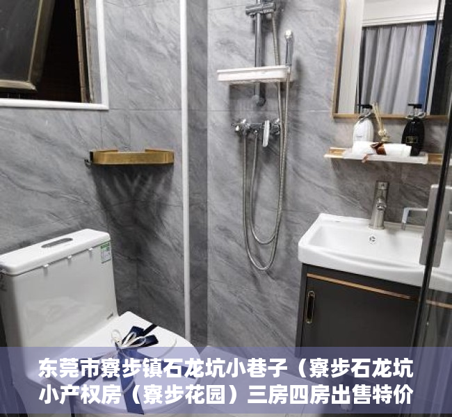 东莞市寮步镇石龙坑小巷子（寮步石龙坑小产权房（寮步花园）三房四房出售特价4688元起 首付4成分期5年）