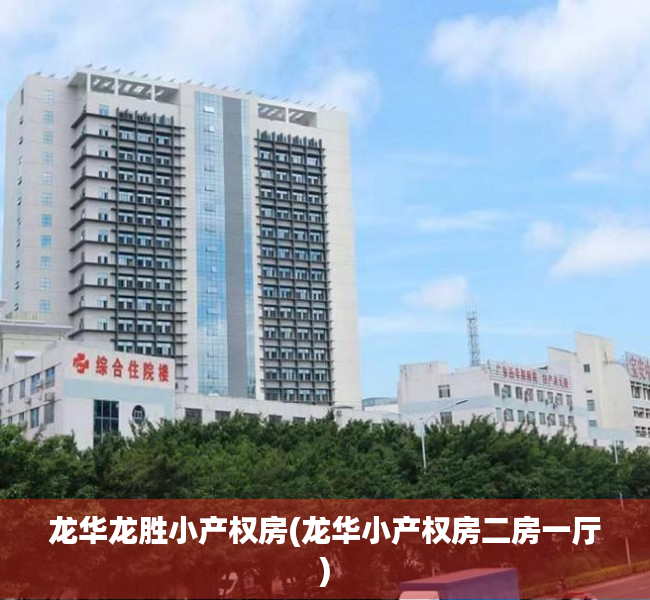龙华龙胜小产权房(龙华小产权房二房一厅) 龙华龙胜小产权房(龙华小产权房二房一厅)