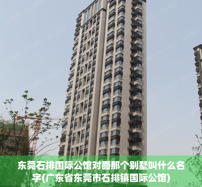 东莞石排国际公馆对面那个别墅叫什么名字(广东省东莞市石排镇国际公馆)