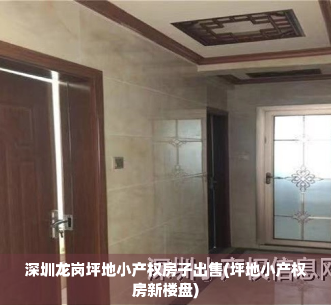 深圳龙岗坪地小产权房子出售(坪地小产权房新楼盘) 深圳龙岗坪地小产权房子出售(坪地小产权房新楼盘)