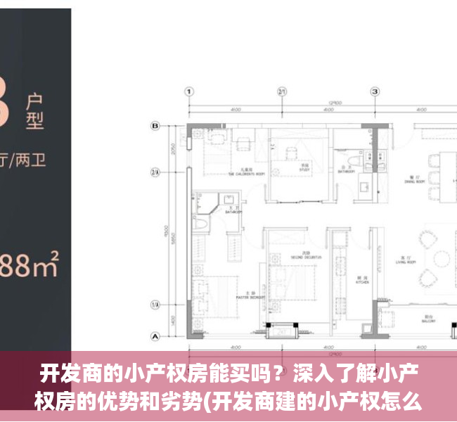 开发商的小产权房能买吗？深入了解小产权房的优势和劣势(开发商建的小产权怎么回事)