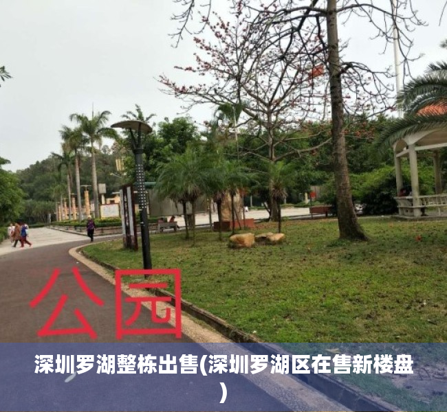 深圳罗湖整栋出售(深圳罗湖区在售新楼盘) 深圳罗湖整栋出售(深圳罗湖区在售新楼盘)