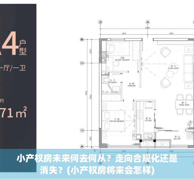 小产权房未来何去何从？走向合规化还是消失？(小产权房将来会怎样)