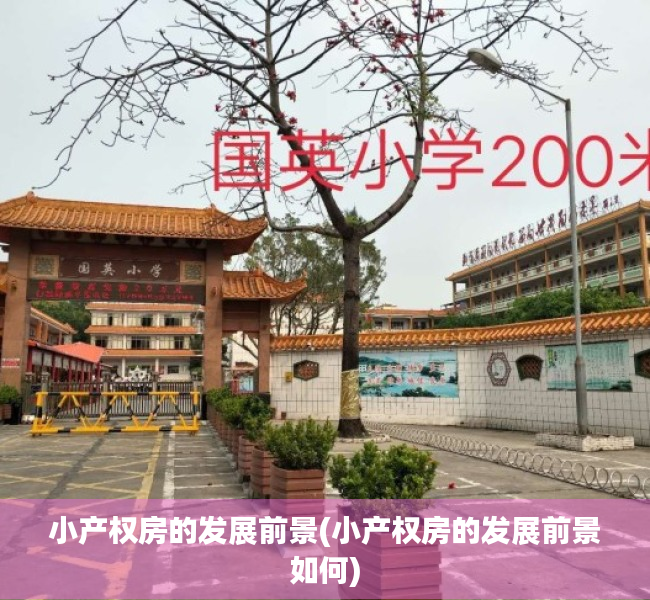 小产权房的发展前景(小产权房的发展前景如何)