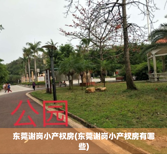 东莞谢岗小产权房(东莞谢岗小产权房有哪些) 东莞谢岗小产权房(东莞谢岗小产权房有哪些)