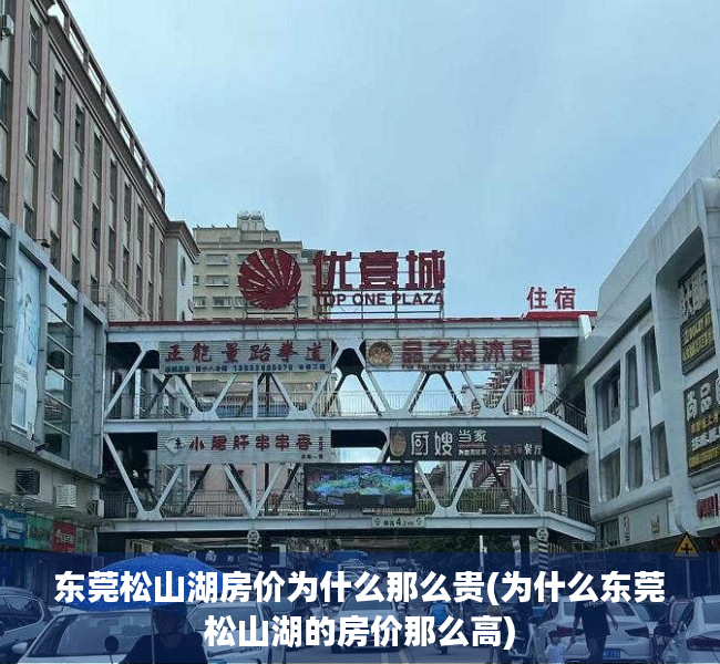 东莞松山湖房价为什么那么贵(为什么东莞松山湖的房价那么高) 东莞松山湖房价为什么那么贵(为什么东莞松山湖的房价那么高)