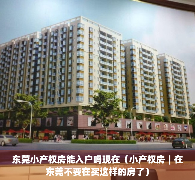 东莞小产权房能入户吗现在（小产权房︱在东莞不要在买这样的房了）