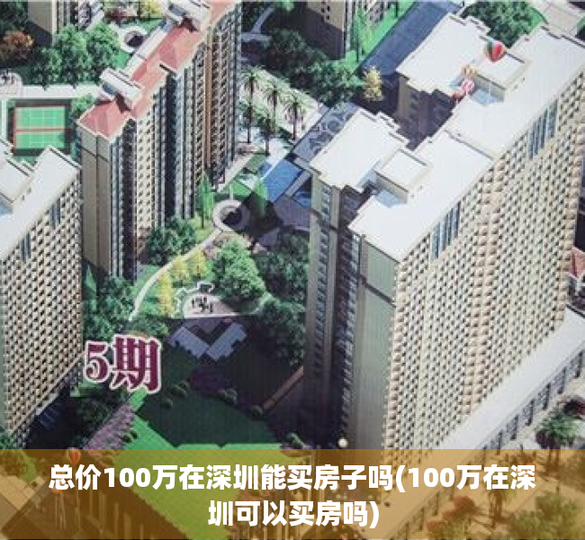 总价100万在深圳能买房子吗(100万在深圳可以买房吗)