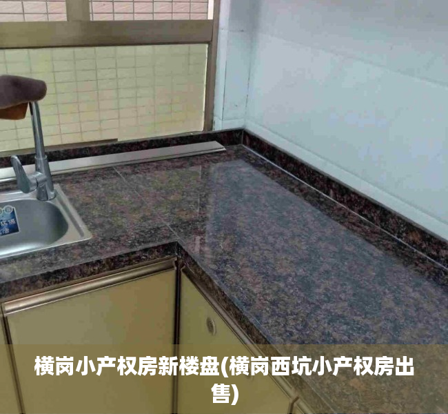横岗小产权房新楼盘(横岗西坑小产权房出售) 横岗小产权房新楼盘(横岗西坑小产权房出售)