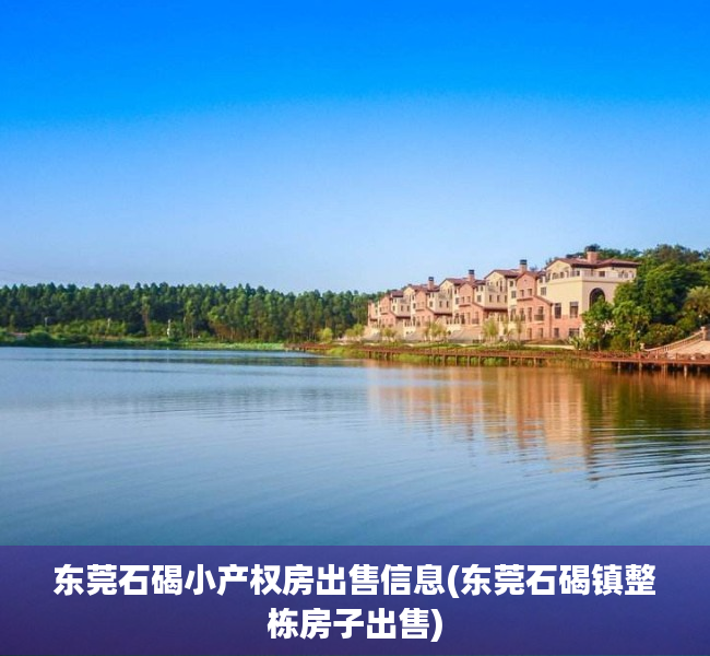 东莞石碣小产权房出售信息(东莞石碣镇整栋房子出售) 东莞石碣小产权房出售信息(东莞石碣镇整栋房子出售)