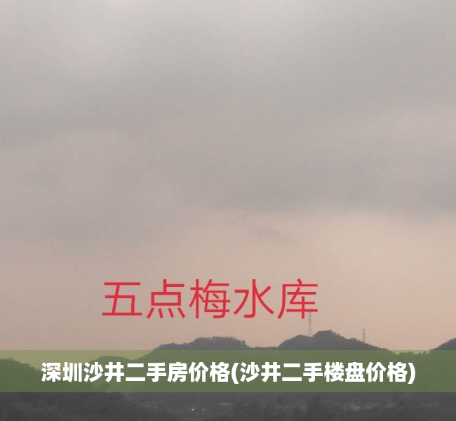 深圳沙井二手房价格(沙井二手楼盘价格) 深圳沙井二手房价格(沙井二手楼盘价格)