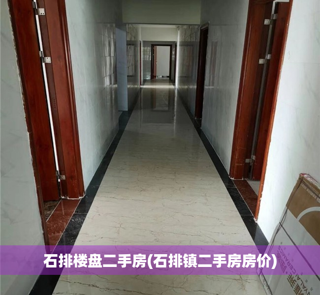 石排楼盘二手房(石排镇二手房房价) 石排楼盘二手房(石排镇二手房房价)
