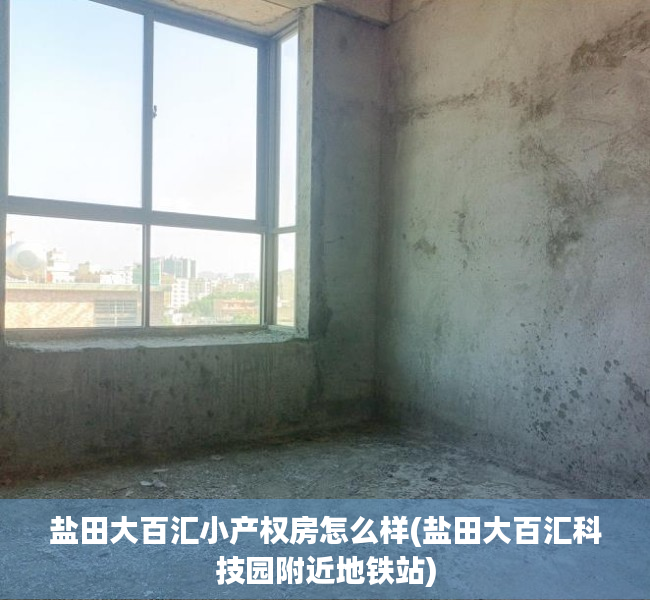 盐田大百汇小产权房怎么样(盐田大百汇科技园附近地铁站) 盐田大百汇小产权房怎么样(盐田大百汇科技园附近地铁站)
