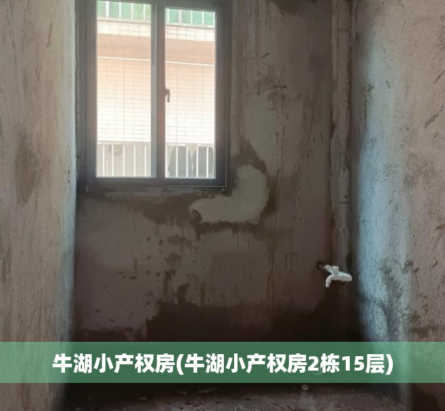 牛湖小产权房(牛湖小产权房2栋15层) 牛湖小产权房(牛湖小产权房2栋15层)
