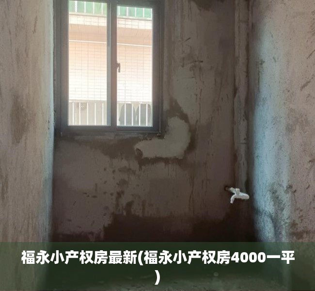 福永小产权房最新(福永小产权房4000一平) 福永小产权房最新(福永小产权房4000一平)