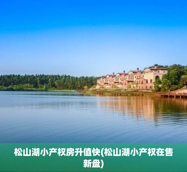 松山湖小产权房升值快(松山湖小产权在售新盘) 松山湖小产权房升值快(松山湖小产权在售新盘)