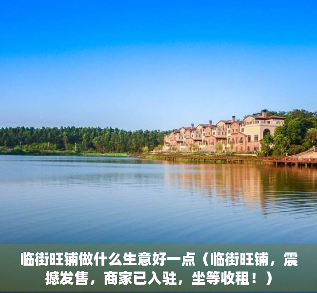 临街旺铺做什么生意好一点（临街旺铺，震撼发售，商家已入驻，坐等收租！）