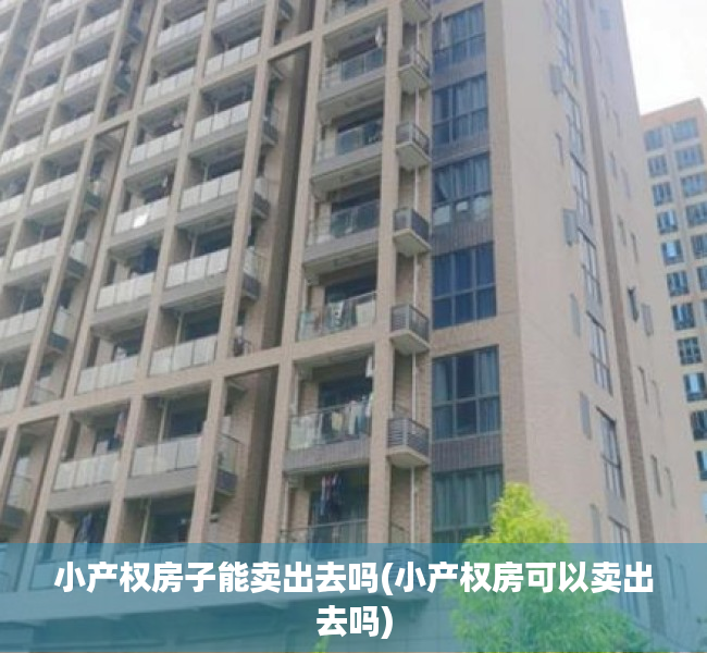 小产权房子能卖出去吗(小产权房可以卖出去吗) 小产权房子能卖出去吗(小产权房可以卖出去吗)