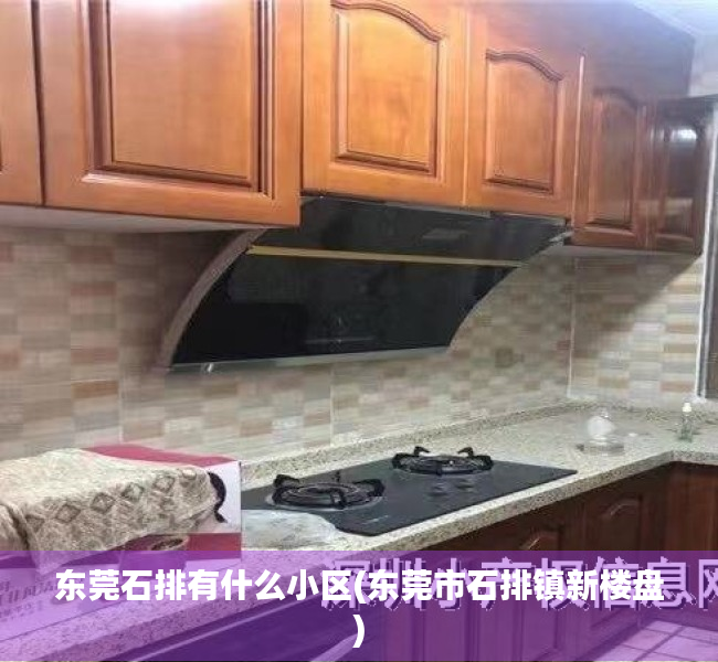 东莞石排有什么小区(东莞市石排镇新楼盘) 东莞石排有什么小区(东莞市石排镇新楼盘)